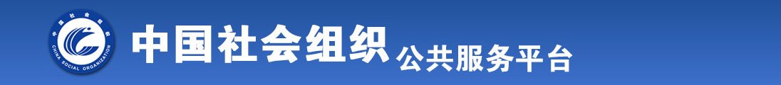 艹到流水全国社会组织信息查询